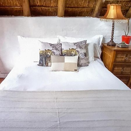 Pantera Lodge & Cheetah Cottage Johannesburg Zewnętrze zdjęcie